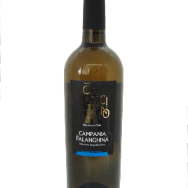 Torricino Campania Falanghina